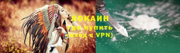 гидра Няндома