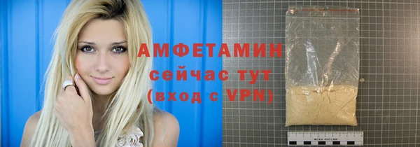 гидра Няндома