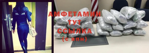 гидра Няндома