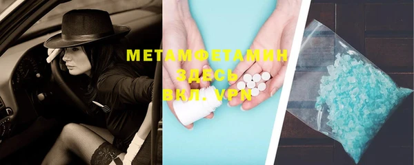 гидра Няндома