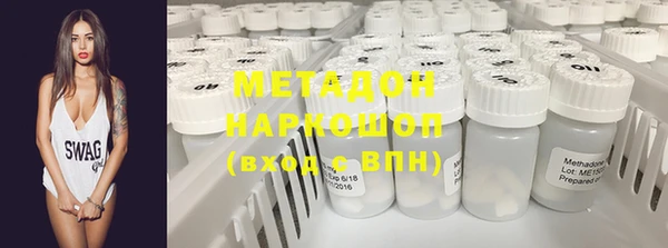 гидра Няндома