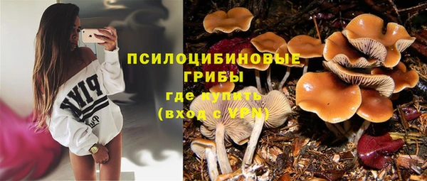 дживик Нягань