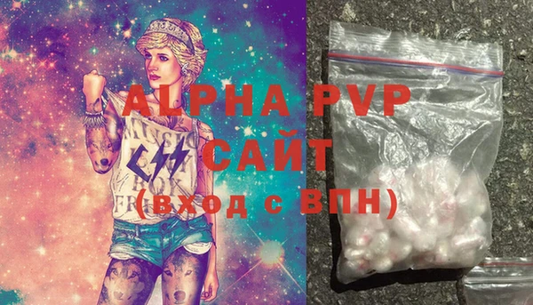 гидра Няндома