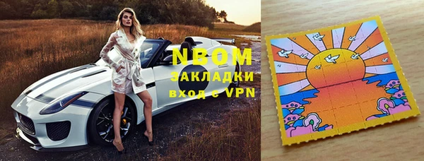 шишки Новозыбков