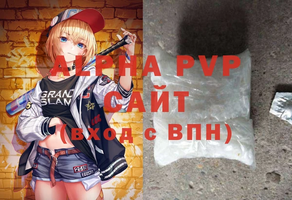 гидра Няндома