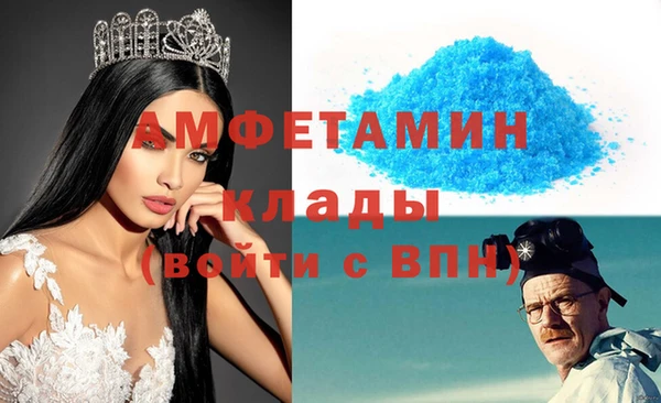 гидра Няндома
