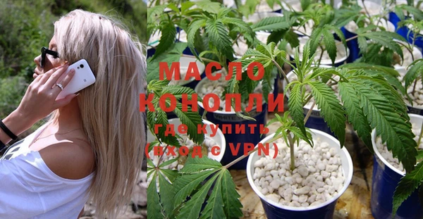дживик Нягань