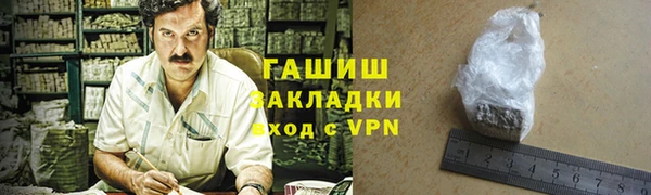 гидра Няндома