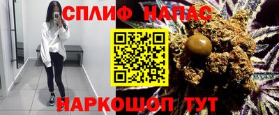 скорость Гатчина