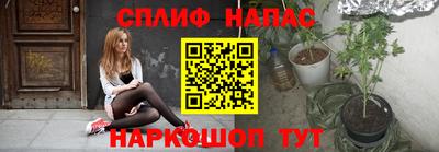 скорость Гатчина