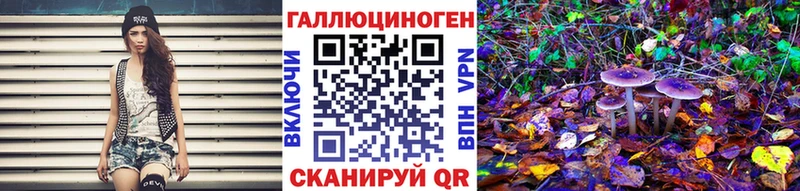 блэк спрут онион Иваново Галлюциногенные грибы Cubensis
