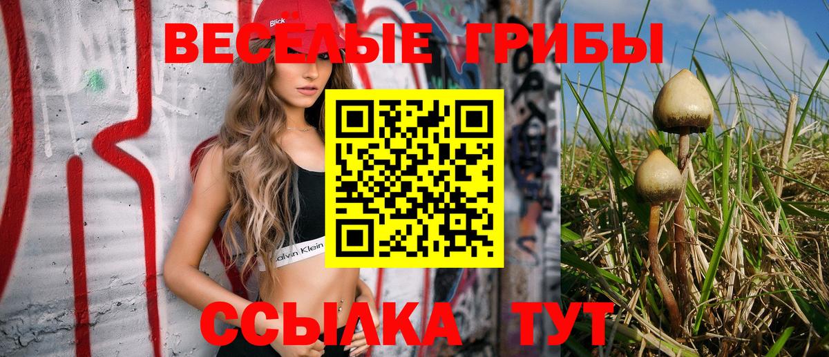 Иваново  Псилоцибиновые грибы Psilocybe  Вход с VPN  Галлюциногенные грибы Cubensis 