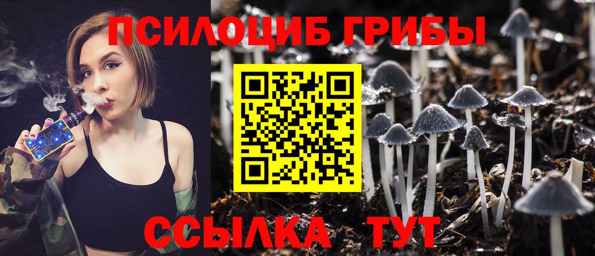 Псилоцибиновые грибы мухоморы Иваново